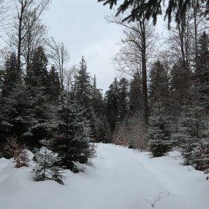 Bouřka on the summit of Steinriegel (15.2.2025 17:04)