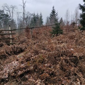 Pavel Martínek na vrcholu Liščí hora (25.11.2019 9:33)