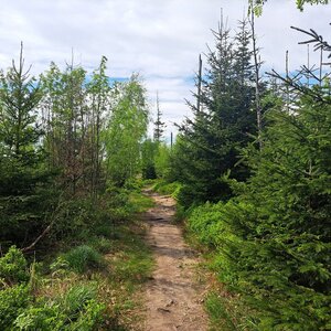 Horalka Anička na vrcholu Beskid (1.5.2024 15:55)