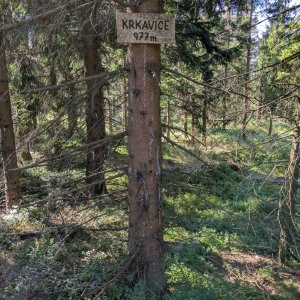krupjan na vrcholu Krkavice / Kyrkawica (20.8.2025 9:51)