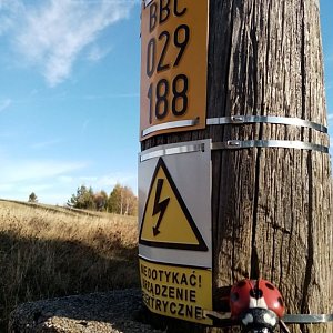 Jiřina na vrcholu Malý Stožek / Stożek Mały (1.11.2022 9:44)