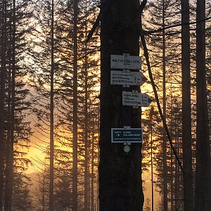 Dashia5 na vrcholu Malý Stožek / Stożek Mały (19.2.2021 17:30)