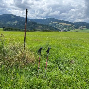 Radka D na vrcholu Borová (29.7.2023 14:01)