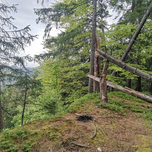 Šárka na vrcholu Baranská skála (8.5.2024 10:38)