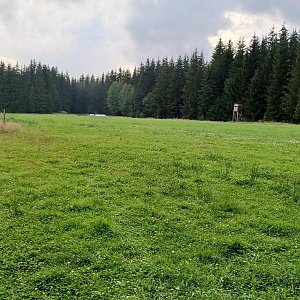 PA!WELL na vrcholu Stupný (28.8.2022 17:22)