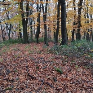 Jirka na vrcholu Tetřevník (1.11.2025 16:28)