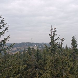 Milda na vrcholu Zwalisko (29.3.2025 11:42)