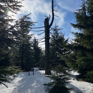 Mertelici na tripu on the summit of Jelenka (18.2.2024 11:08)