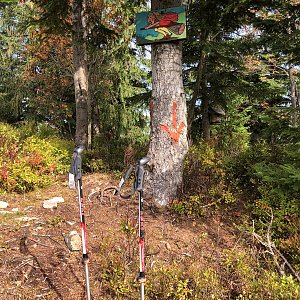 Radka D na vrcholu Trojačka (11.10.2022 13:16)