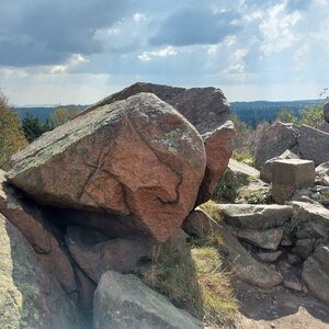 Mykas na vrcholu Kleiner Lugstein (19.9.2024 13:01)