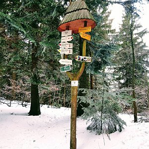 Hostýnsko-vsetínská hornatina