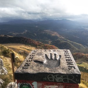 Badger on the summit of Trebević (27.10.2023 16:05)