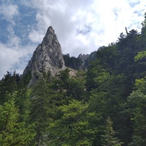 megalodon na vrcholu Adlerspitze (31.7.2022 2:45)