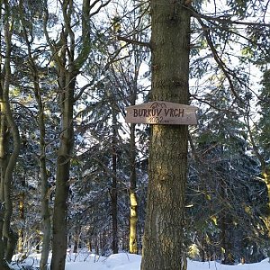 Laina666 na vrcholu Burkův vrch (21.1.2020 14:23)