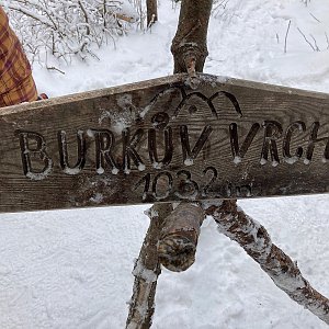 Mišousek na vrcholu Burkův vrch (10.1.2021 12:16)