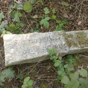 Fin on the summit of Klenka (25.7.2026 9:03)