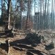 ZdenkaV na vrcholu Babí hora (29.1.2024 13:33)