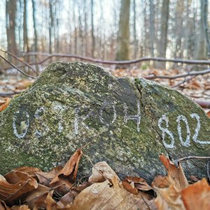Jiří Králík on the summit of Ostroh (16.3.2025 17:04)