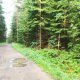 Martin Suchopár na vrcholu Tříslová