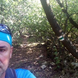 Li Be on the summit of Cser-hegy (8.9.2023 10:09)