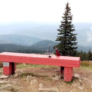 Jiřina on the summit of Hill (30.9.2023 12:14)