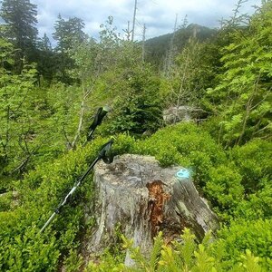 PA!WELL na vrcholu Großer Arber - J (29.5.2024 13:27)