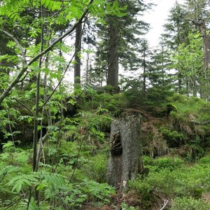ZdenkaV na vrcholu Mittagsplatzl - SZ (29.5.2024 13:50)