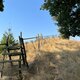 Radka D na vrcholu Na Pahrbu (8.9.2024 10:08)