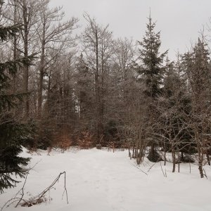 Bouřka na vrcholu Alzenberg (15.2.2025 14:16)