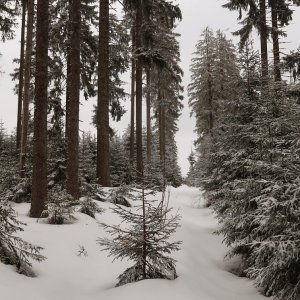 Bouřka on the summit of Duschlberg (16.2.2025 12:10)
