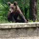 ZdenkaV na vrcholu Albina