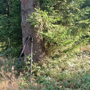Milda na vrcholu Frňovské (31.8.2024 16:47)