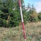 Mykas na vrcholu Frňovské
