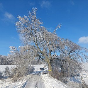 Tomáš Vašíček na vrcholu Velký Roudný (29.1.2023 11:56)