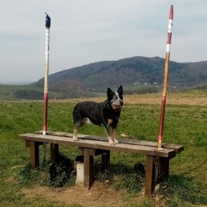 Jiřina on the summit of Tábor (12.4.2026 12:05)