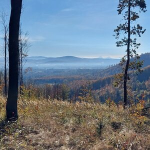 Ila on the summit of Plenisko (24.10.2024)