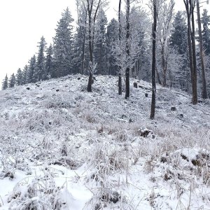 PA!WELL na vrcholu Skalka (1.2.2026 9:07)