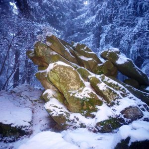 Šárka na vrcholu Skalka (9.2.2026 16:57)
