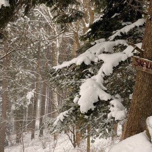 Jiřka Niedobová na vrcholu Skalka (21.2.2026 12:00)