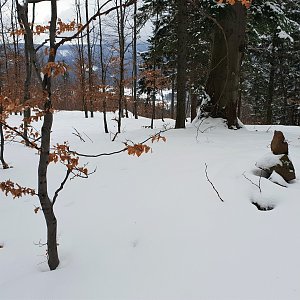 Petr Pepe Peloušek na vrcholu Horka (27.1.2019 11:08)