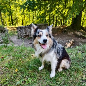Jiří Králík na vrcholu Šostýn (4.10.2025 15:22)