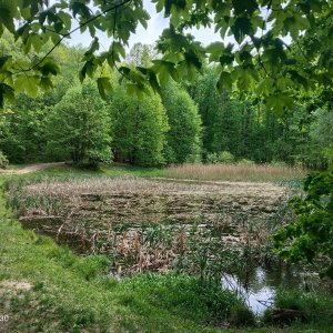 Zdena Trommler na vrcholu Šostýn (5.5.2026 12:30)