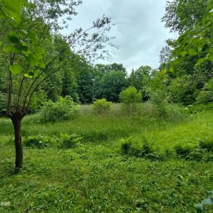 Zdena Trommler na vrcholu Šostýn (12.6.2026 18:03)
