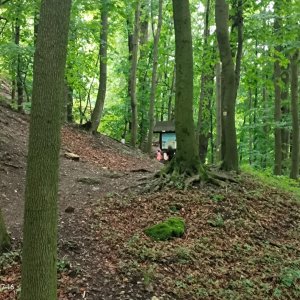 Zdena Trommler na vrcholu Šostýn (13.6.2026 17:19)