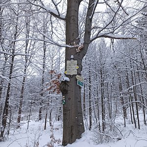Karolína Moravcova na vrcholu Šostýn (13.2.2021 15:02)