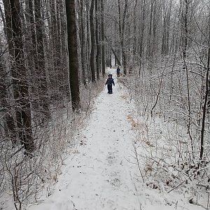 Lucijek na vrcholu Brdy (6.2.2021 14:16)