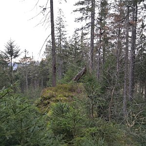 Šumava