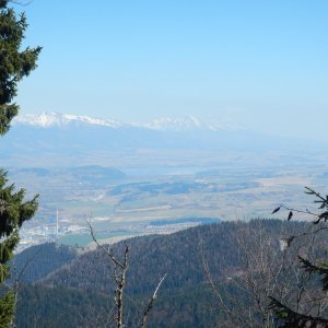 Rastislav Biarinec on the summit of Hoľa (11.4.2020 12:19)