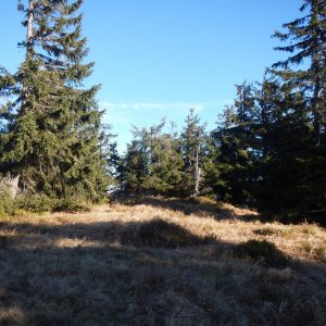 Rastislav Biarinec on the summit of Tlstá (15.11.2020 13:38)