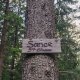 Šárka on peak Šance